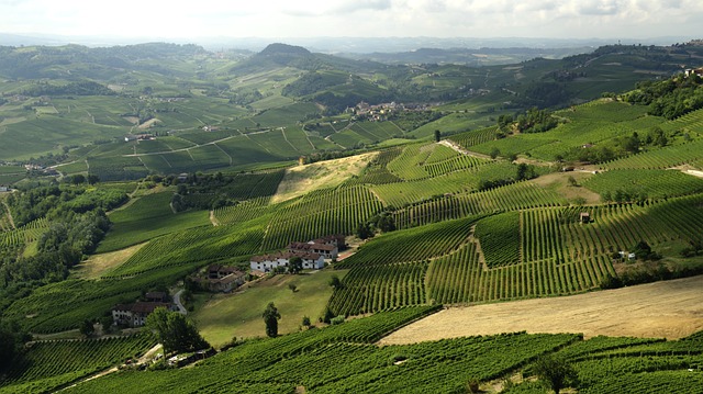 Langhe